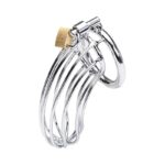 Anillo de Castidad Metalico - Imagen 2