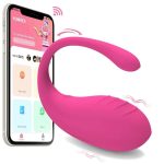 Huevo Vibrador Inalambrico Control APP - App Fish.